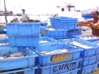 pesca2 (9)  ALIMENTOS ELABORACION